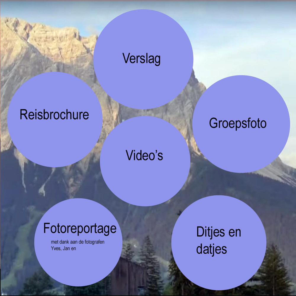 overzicht